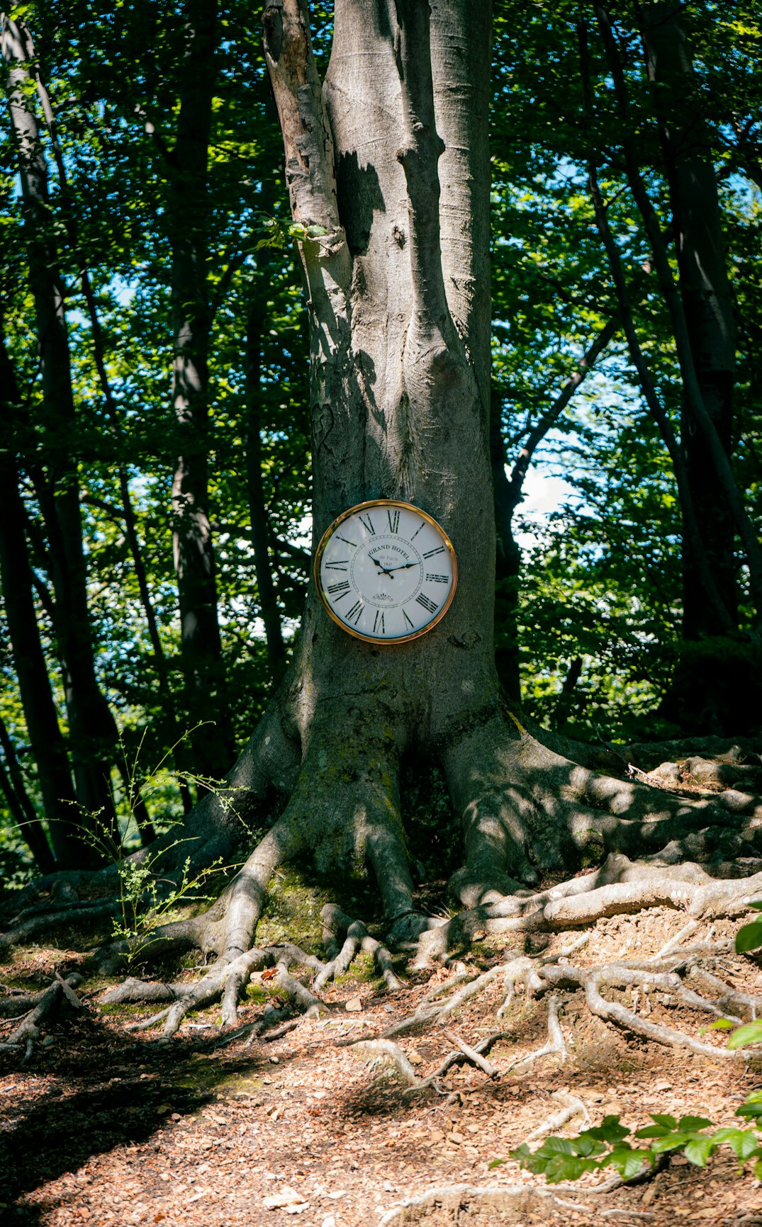 mystery clock