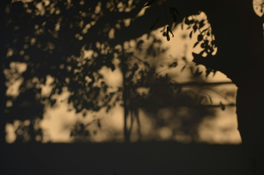 shadowy labyrinth